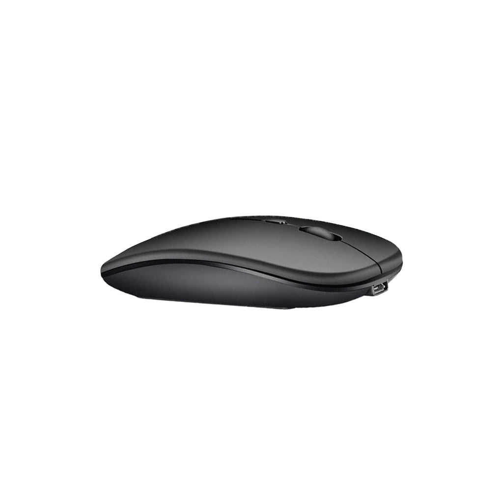 BM101W - Bluetooth & Wireless Mouse