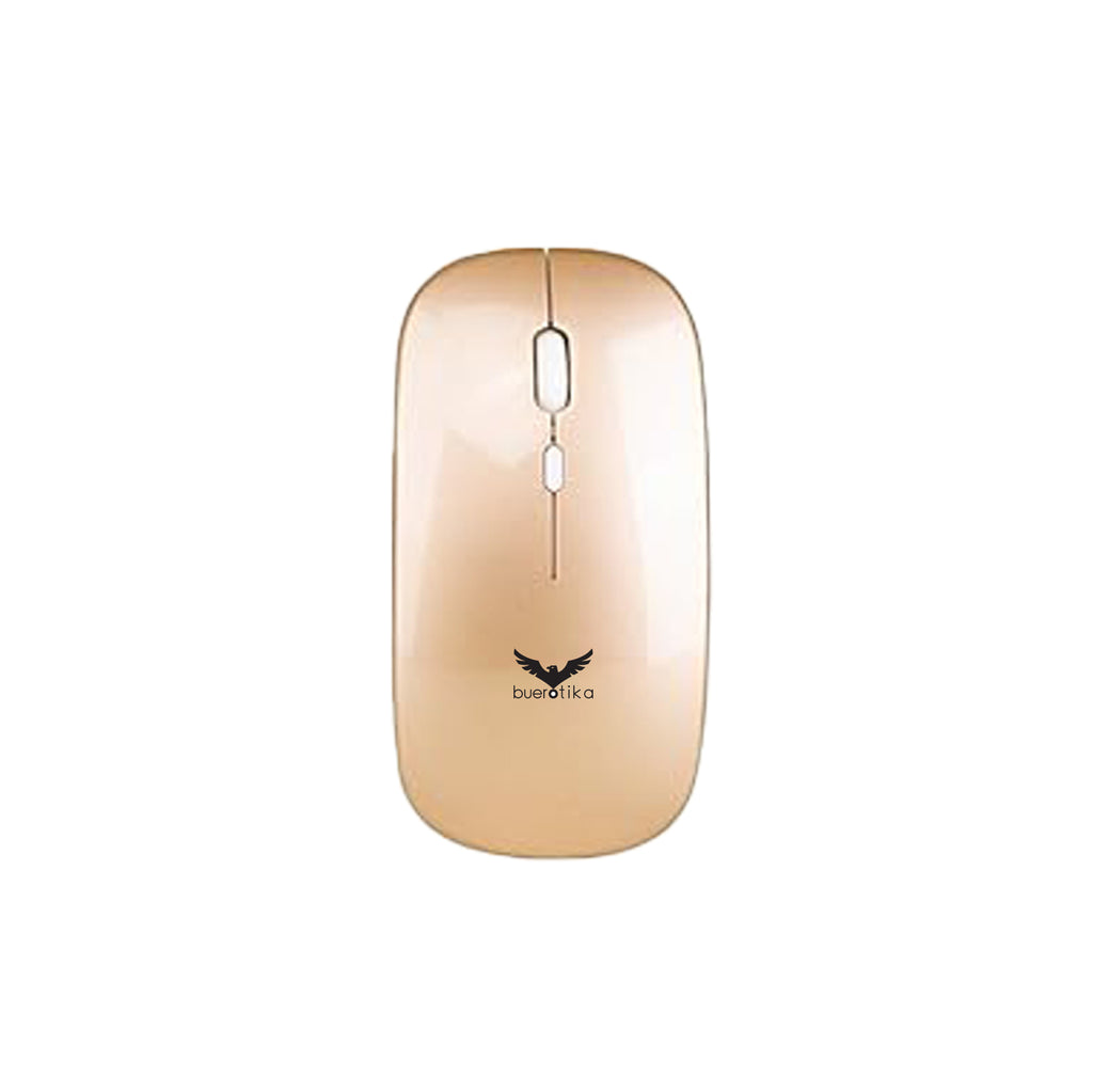 BM101W - Bluetooth & Wireless Mouse