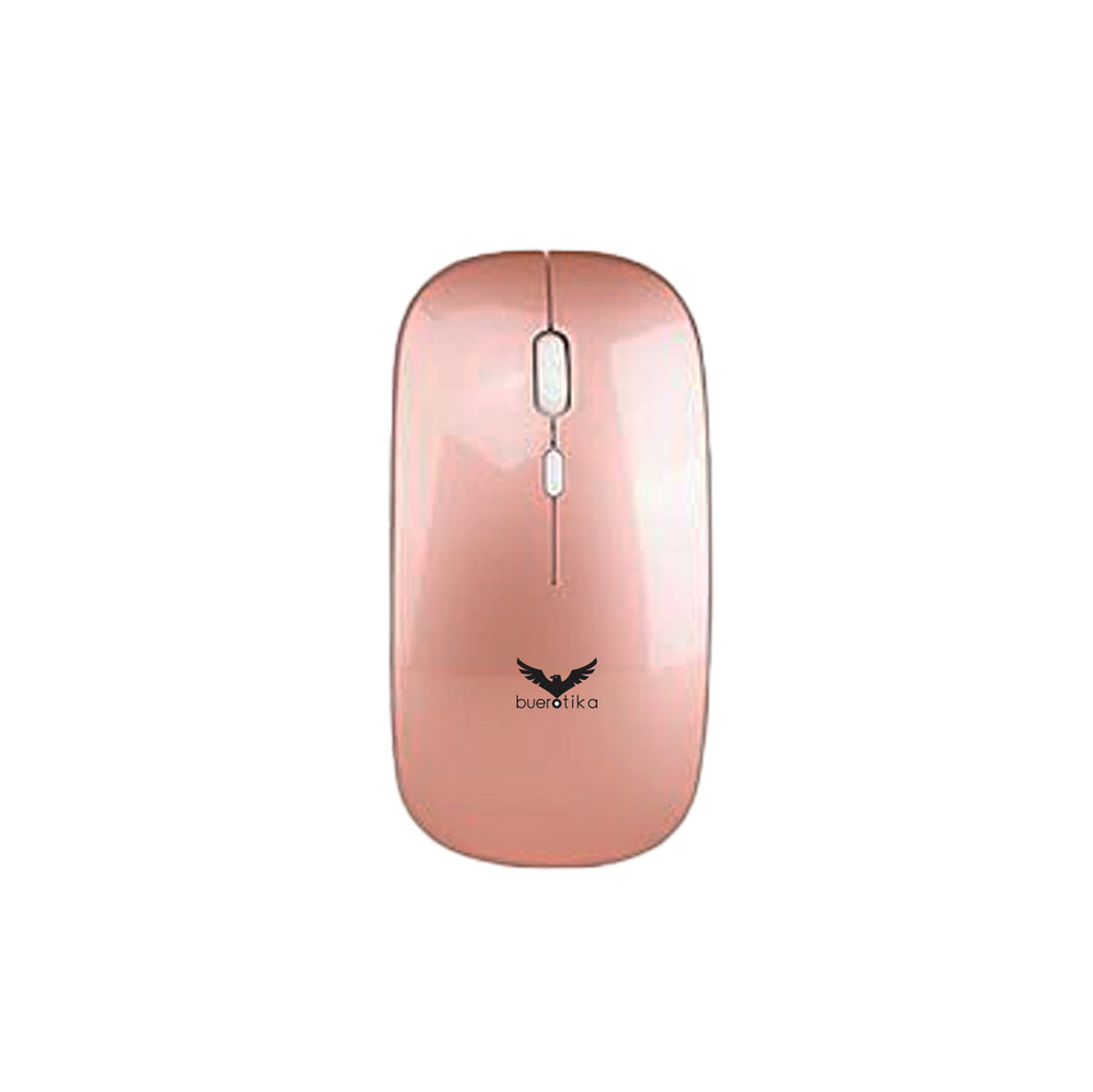 BM101W - Bluetooth & Wireless Mouse